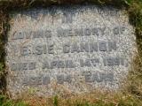 image of grave number 446202